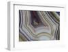 Banded Agate, Sammamish, Washington-Darrell Gulin-Framed Photographic Print