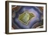 Banded Agate, Sammamish, Washington-Darrell Gulin-Framed Photographic Print