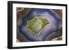 Banded Agate, Sammamish, Washington-Darrell Gulin-Framed Photographic Print