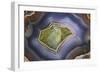 Banded Agate, Sammamish, Washington-Darrell Gulin-Framed Photographic Print