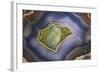 Banded Agate, Sammamish, Washington-Darrell Gulin-Framed Photographic Print