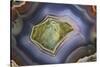 Banded Agate, Sammamish, Washington-Darrell Gulin-Stretched Canvas