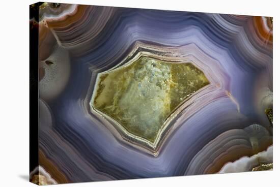 Banded Agate, Sammamish, Washington-Darrell Gulin-Stretched Canvas