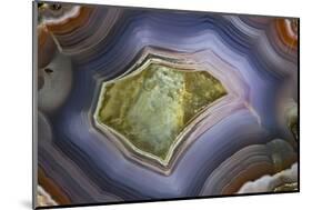 Banded Agate, Sammamish, Washington-Darrell Gulin-Mounted Photographic Print