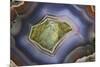 Banded Agate, Sammamish, Washington-Darrell Gulin-Mounted Photographic Print