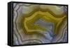 Banded Agate, Sammamish, Washington-Darrell Gulin-Framed Stretched Canvas