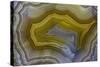 Banded Agate, Sammamish, Washington-Darrell Gulin-Stretched Canvas