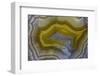 Banded Agate, Sammamish, Washington-Darrell Gulin-Framed Photographic Print