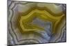 Banded Agate, Sammamish, Washington-Darrell Gulin-Mounted Photographic Print