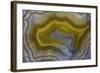 Banded Agate, Sammamish, Washington-Darrell Gulin-Framed Photographic Print