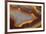 Banded Agate, Sammamish, Washington-Darrell Gulin-Framed Photographic Print