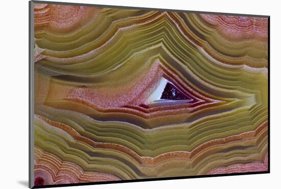 Banded Agate, Sammamish, Washington-Darrell Gulin-Mounted Photographic Print