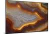 Banded Agate, Sammamish, Washington-Darrell Gulin-Mounted Photographic Print