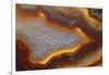 Banded Agate, Sammamish, Washington-Darrell Gulin-Framed Photographic Print