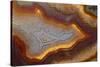 Banded Agate, Sammamish, Washington-Darrell Gulin-Stretched Canvas