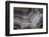 Banded Agate, Sammamish, Washington-Darrell Gulin-Framed Photographic Print