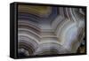 Banded Agate, Sammamish, Washington-Darrell Gulin-Framed Stretched Canvas