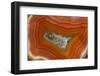 Banded Agate, Sammamish, Washington-Darrell Gulin-Framed Photographic Print