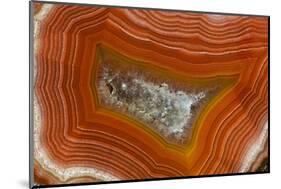 Banded Agate, Sammamish, Washington-Darrell Gulin-Mounted Photographic Print