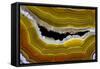 Banded Agate, Sammamish, Washington-Darrell Gulin-Framed Stretched Canvas