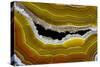 Banded Agate, Sammamish, Washington-Darrell Gulin-Stretched Canvas