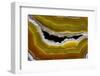 Banded Agate, Sammamish, Washington-Darrell Gulin-Framed Photographic Print