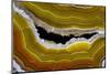 Banded Agate, Sammamish, Washington-Darrell Gulin-Mounted Photographic Print