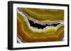 Banded Agate, Sammamish, Washington-Darrell Gulin-Framed Photographic Print