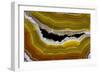 Banded Agate, Sammamish, Washington-Darrell Gulin-Framed Photographic Print