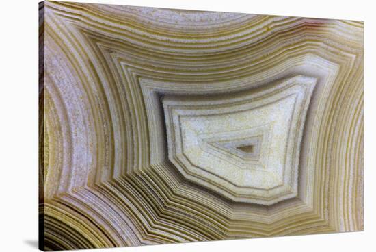 Banded Agate, Sammamish, Washington-Darrell Gulin-Stretched Canvas