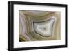 Banded Agate, Sammamish, Washington-Darrell Gulin-Framed Photographic Print