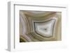 Banded Agate, Sammamish, Washington-Darrell Gulin-Framed Photographic Print