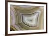 Banded Agate, Sammamish, Washington-Darrell Gulin-Framed Photographic Print