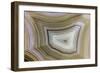 Banded Agate, Sammamish, Washington-Darrell Gulin-Framed Photographic Print