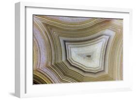 Banded Agate, Sammamish, Washington-Darrell Gulin-Framed Photographic Print