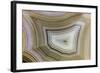 Banded Agate, Sammamish, Washington-Darrell Gulin-Framed Photographic Print