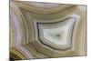 Banded Agate, Sammamish, Washington-Darrell Gulin-Mounted Photographic Print