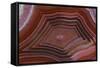 Banded Agate, Sammamish, Washington-Darrell Gulin-Framed Stretched Canvas