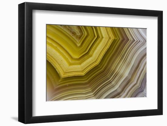 Banded Agate, Sammamish, Washington-Darrell Gulin-Framed Photographic Print