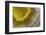 Banded Agate, Sammamish, Washington-Darrell Gulin-Framed Photographic Print