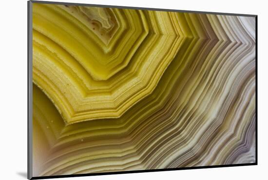 Banded Agate, Sammamish, Washington-Darrell Gulin-Mounted Photographic Print