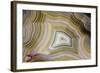 Banded Agate, Sammamish, Washington-Darrell Gulin-Framed Photographic Print