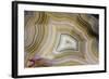 Banded Agate, Sammamish, Washington-Darrell Gulin-Framed Photographic Print