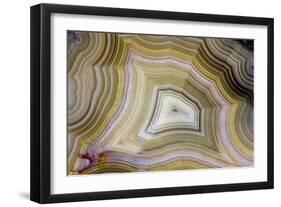 Banded Agate, Sammamish, Washington-Darrell Gulin-Framed Photographic Print