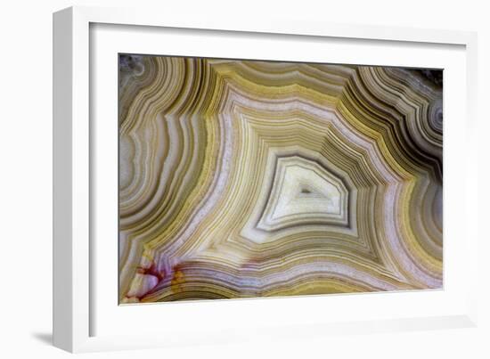 Banded Agate, Sammamish, Washington-Darrell Gulin-Framed Photographic Print