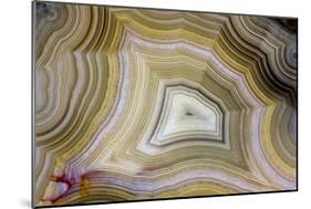 Banded Agate, Sammamish, Washington-Darrell Gulin-Mounted Photographic Print