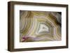 Banded Agate, Sammamish, Washington-Darrell Gulin-Framed Photographic Print