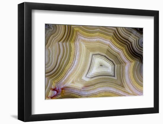 Banded Agate, Sammamish, Washington-Darrell Gulin-Framed Photographic Print