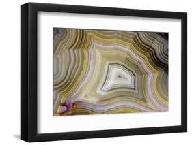 Banded Agate, Sammamish, Washington-Darrell Gulin-Framed Photographic Print