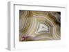 Banded Agate, Sammamish, Washington-Darrell Gulin-Framed Photographic Print